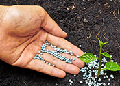 黑龙江植物合理施肥的原则