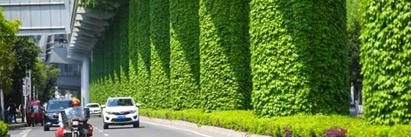 黑龙江吉林：厚植生态屏障 打造“绿色长